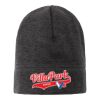 Heathered Knit Beanie Thumbnail