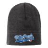 Heathered Knit Beanie Thumbnail