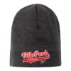 Heathered Knit Beanie Thumbnail